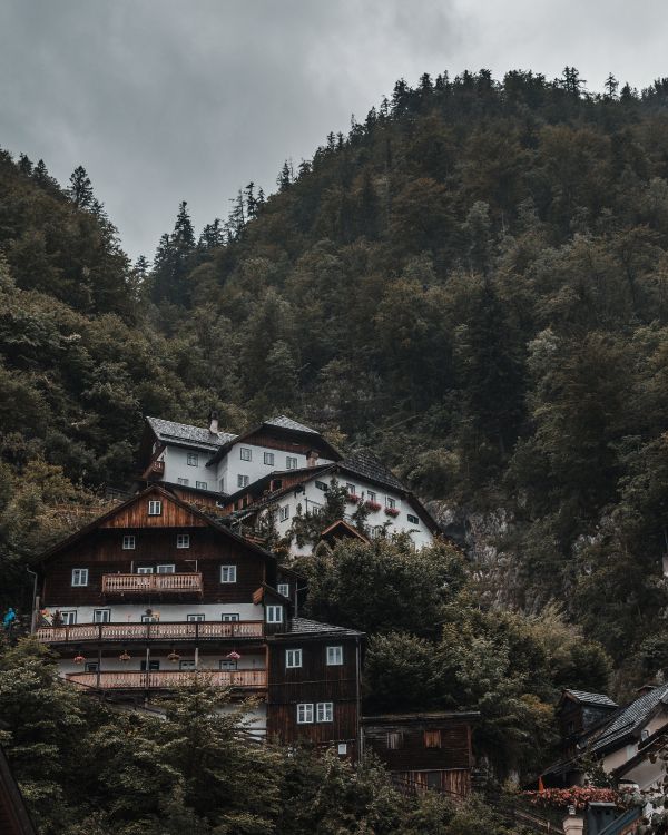 Maison Brune et Blanche Près Des Arbres Verts Pendant la Journée. Wallpaper in 3188x3985 Resolution