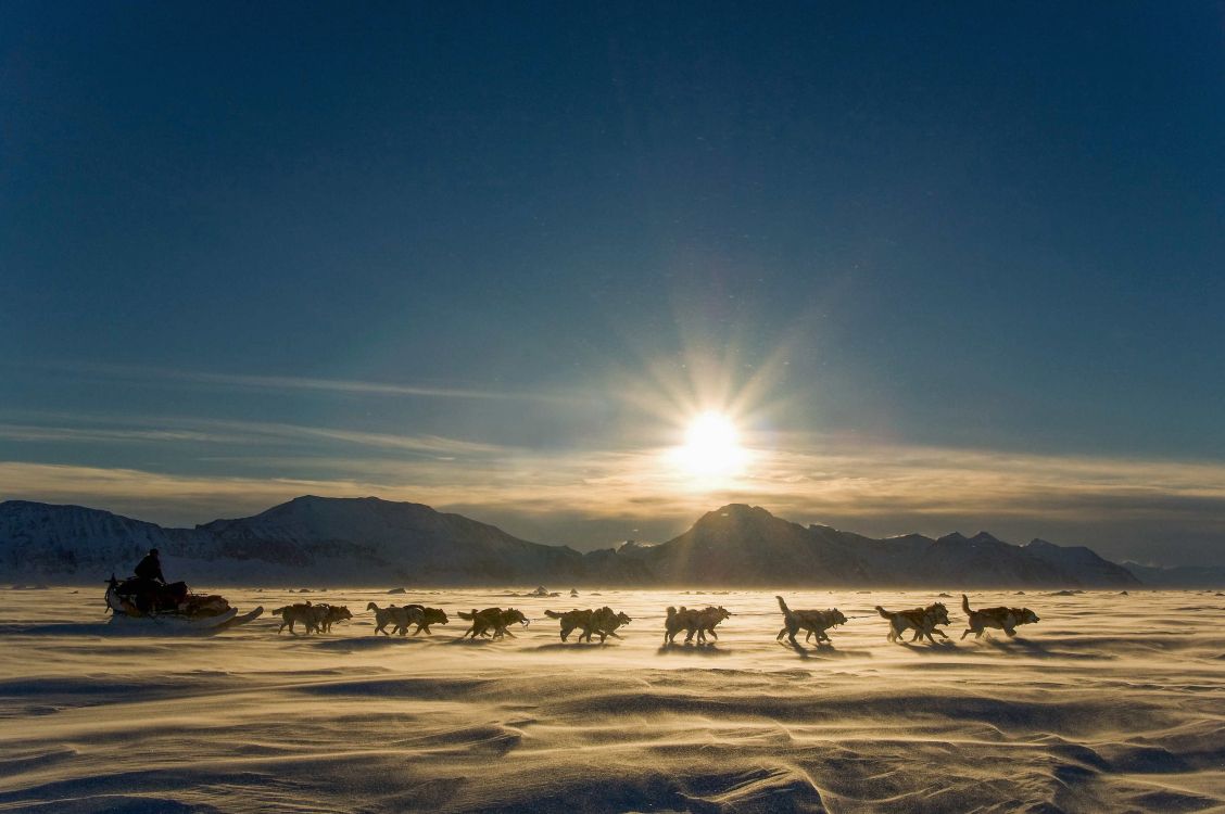 Personnes à Cheval Sur un Terrain Couvert de Neige Pendant la Journée. Wallpaper in 3000x1993 Resolution