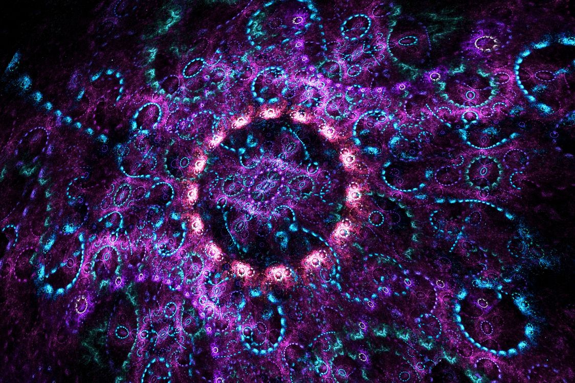 Lila Und Schwarzes Florales Textil. Wallpaper in 3200x2134 Resolution