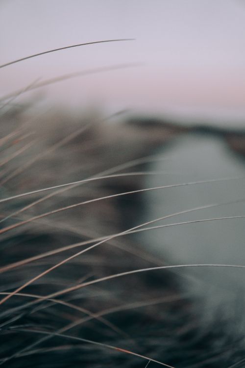 Textile Fourrure Noir et Blanc. Wallpaper in 4000x6000 Resolution