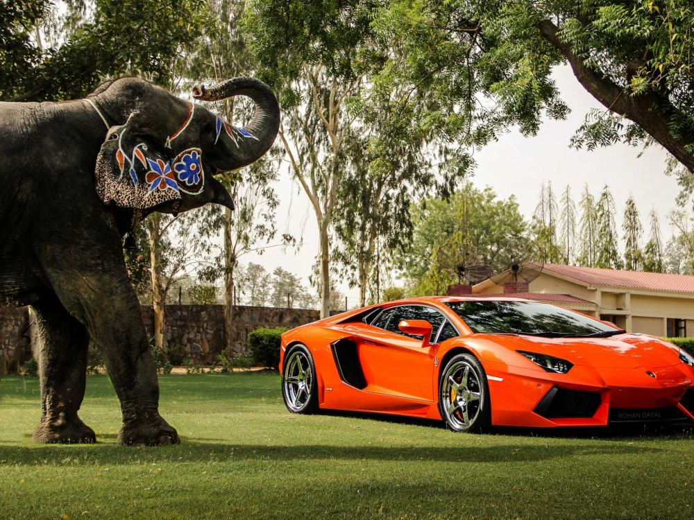 Roter Ferrari 458 Italia Tagsüber in Der Nähe Grüner Bäume Geparkt. Wallpaper in 2048x1536 Resolution