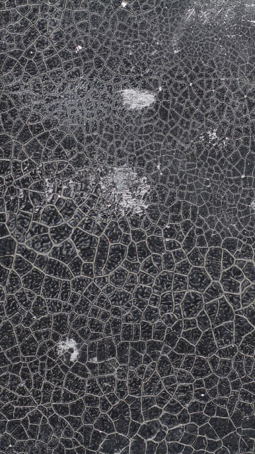 Image black and white abstract painting