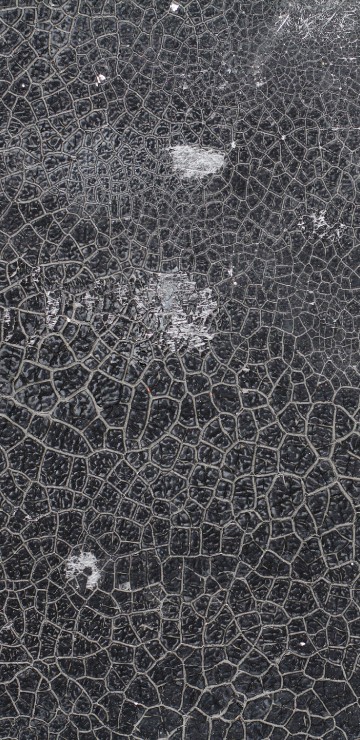 Image black and white abstract painting