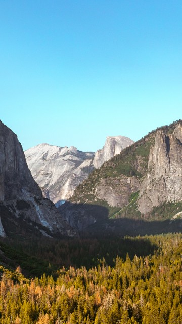 Image yosemite valley, park, natural landscape, Mariposa Grove, Half Dome