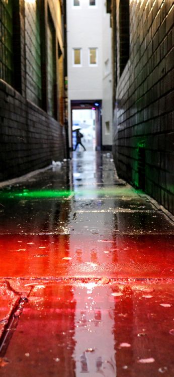 ios, apples, rain, water, colorfulness