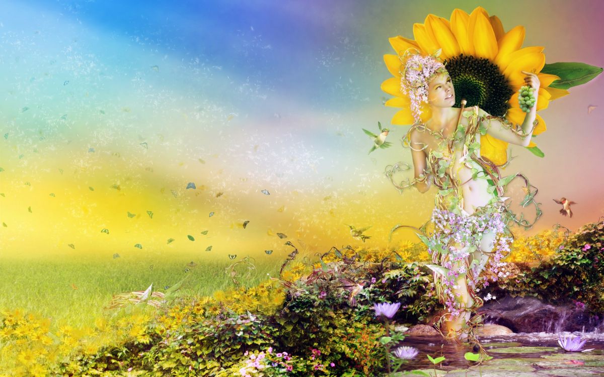 Fleurs Jaunes et Violettes Sous Ciel Bleu. Wallpaper in 1920x1200 Resolution