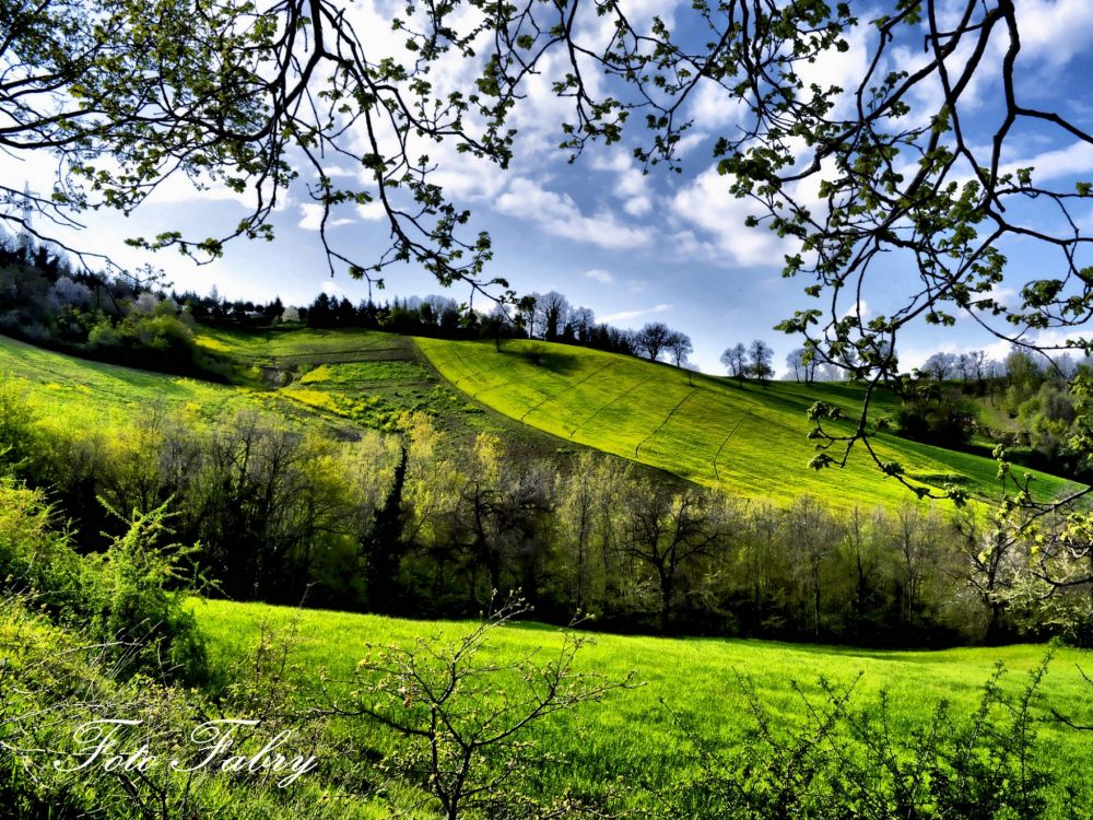 Campo de Hierba Verde Bajo un Cielo Azul y Nubes Blancas Durante el Día. Wallpaper in 2048x1536 Resolution