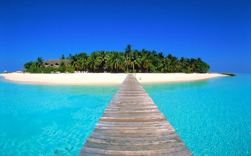 Image brown wooden dock on blue water during daytime