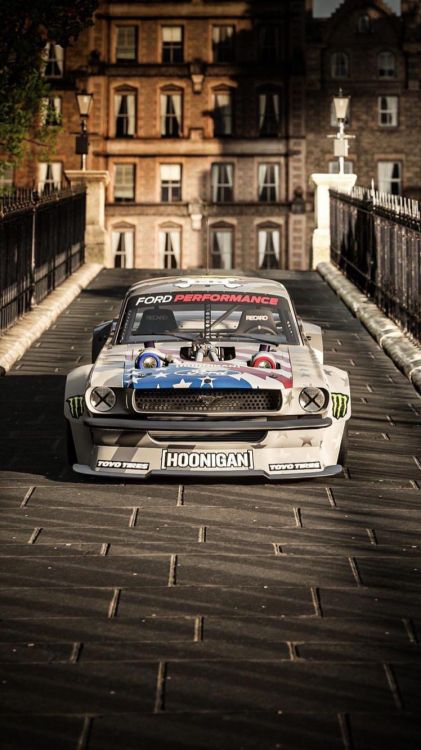 Championnat du Monde Des Rallyes, Roi, Fenêtre, Grille, Extérieurs D'automobile. Wallpaper in 750x1334 Resolution