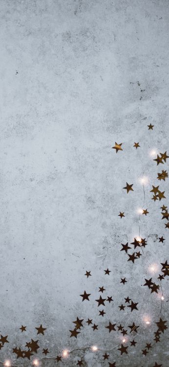 IOS, Esthétique, Rameau, Événement, Neige. Wallpaper in 1242x2688 Resolution