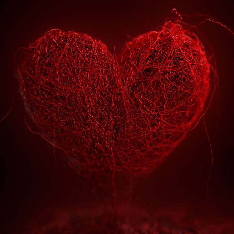 valentines day, red, heart, love, organ