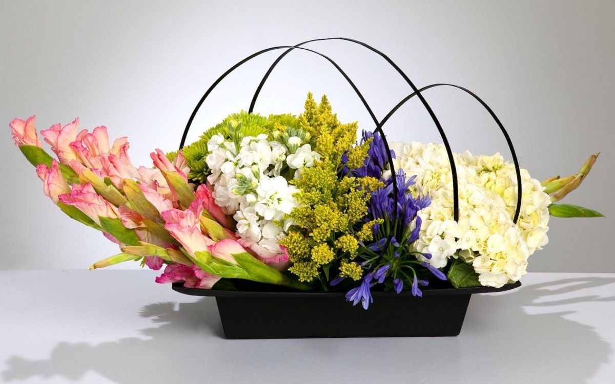 切花, 显花植物, 花艺, 花安排, 花卉设计 壁纸 1920x1200 允许