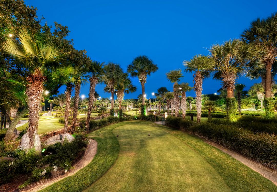 性质, 工厂, 房地产, 天空, Arecales 壁纸 2560x1775 允许