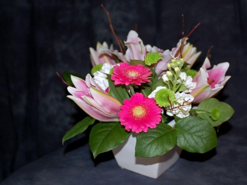 Image pink and white flower in close up photography