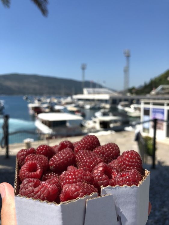 Fruits, Aliment, Les Aliments Naturels, Produit, Boysenberry. Wallpaper in 1536x2048 Resolution