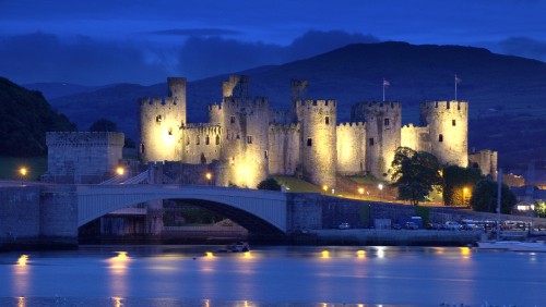 Image brown concrete castle near bridge during night time