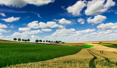 Image green grass field under blue sky and white clouds during daytime