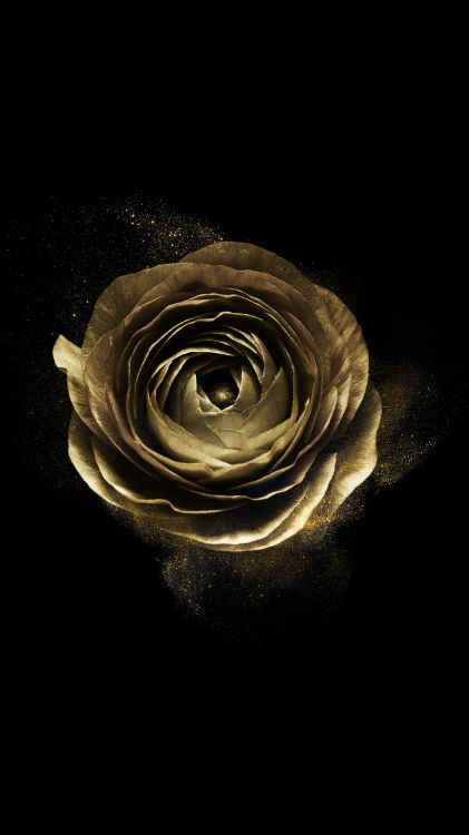  Infinix Note 4, Cartel, la Floración de la Planta, Espiral, Vorágine. Wallpaper in 1080x1920 Resolution