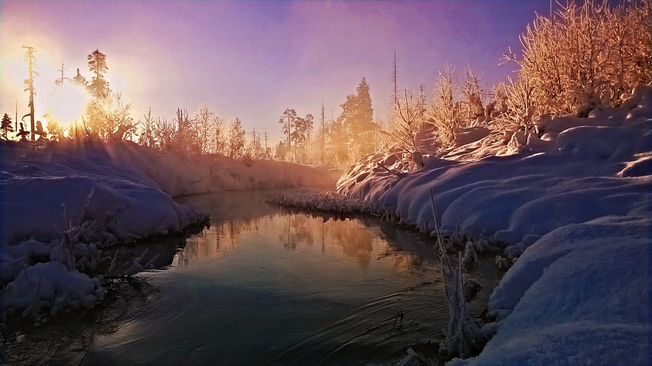 snow covered field and trees during daytime