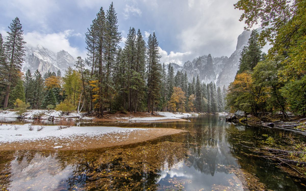 Grüne Bäume in Der Nähe Des Flusses Tagsüber River. Wallpaper in 2560x1600 Resolution