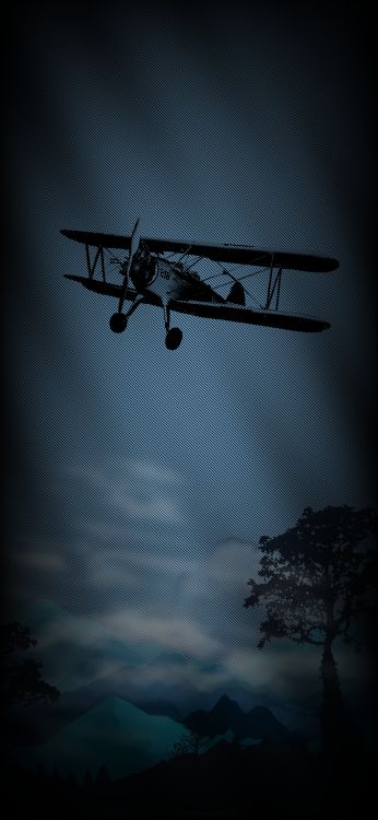 Atmosphere, Light, Tree, Line, Aircraft. Wallpaper in 1080x2340 Resolution