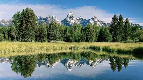 Image green trees near lake and snow covered mountain during daytime