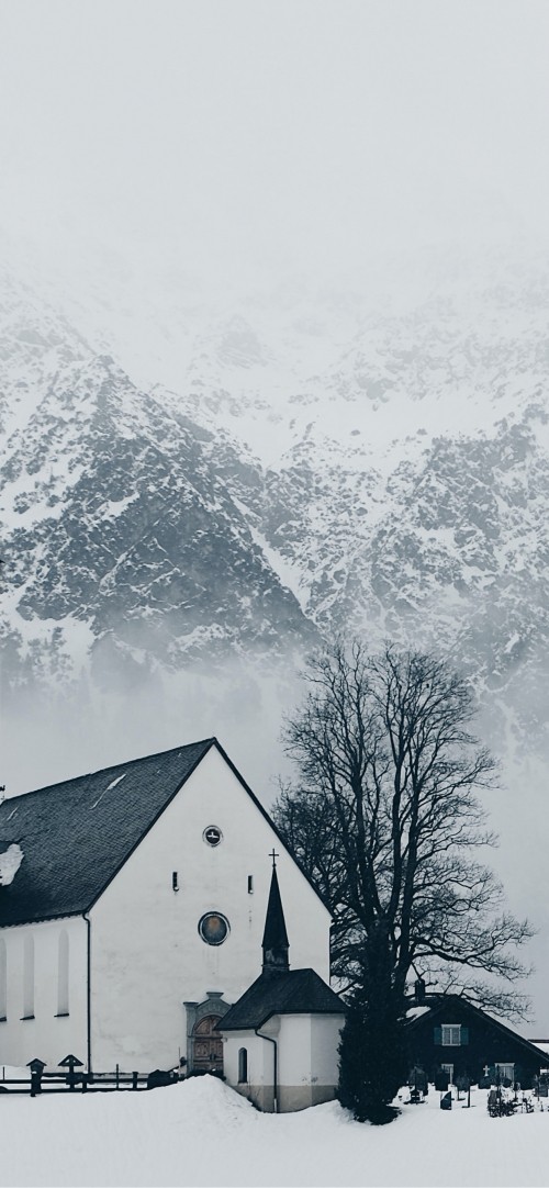 Image plant, mountain, building, tree, slope