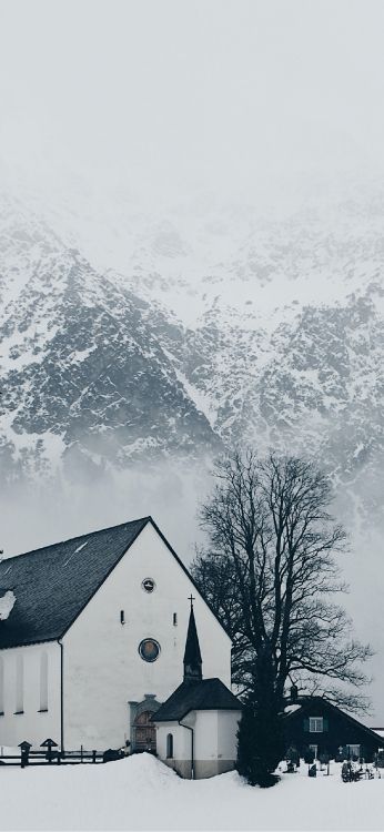 plant, mountain, building, tree, slope