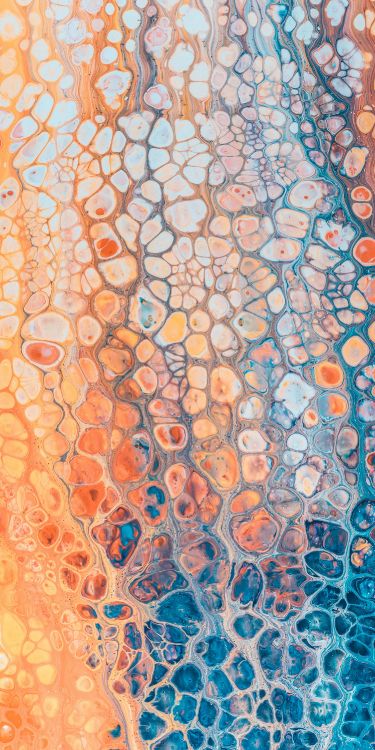 Naranja, Android, Smartphone, Arte, Circulo. Wallpaper in 1500x3000 Resolution