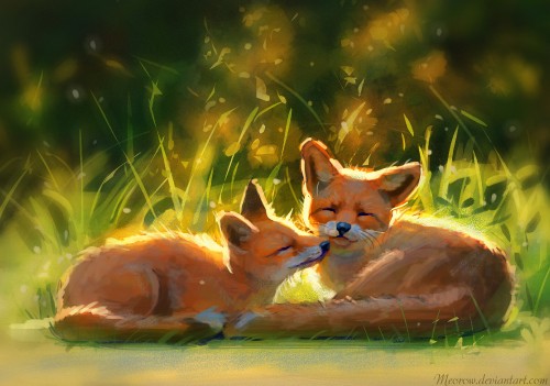 Image 2 orange and white fox lying on green grass during daytime