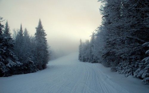 Image snow covered road between trees during daytime