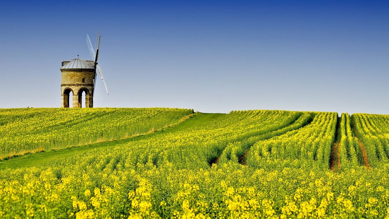 Moulin à Vent Marron Sur Terrain D'herbe Verte Sous Ciel Bleu Pendant la Journée. Wallpaper in 3840x2160 Resolution
