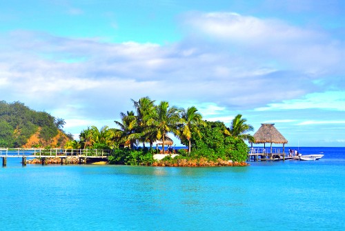 Image brown wooden house near green palm trees and body of water during daytime