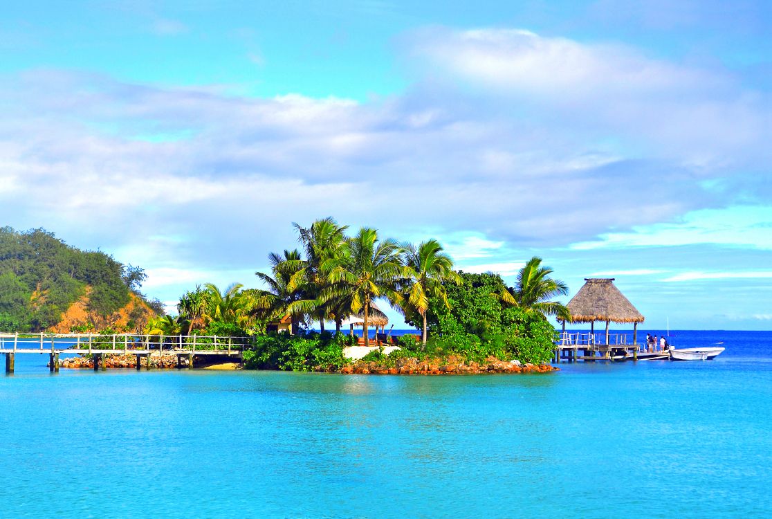 brown wooden house near green palm trees and body of water during daytime