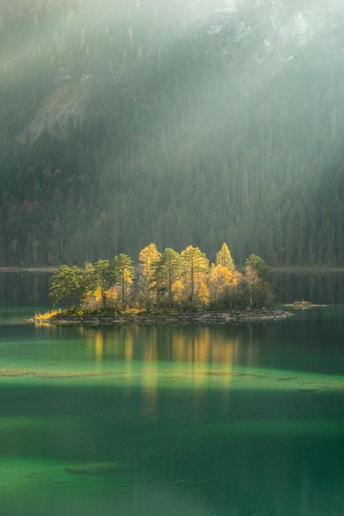 nature, natural landscape, green, reflection, water