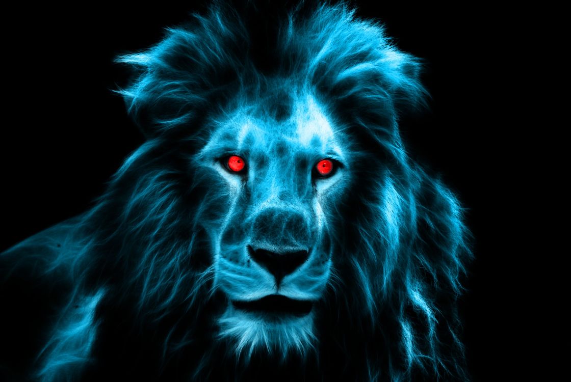 狮子, 海报, 野生动物, 电蓝色的, 大型猫科动物 壁纸 3872x2592 允许