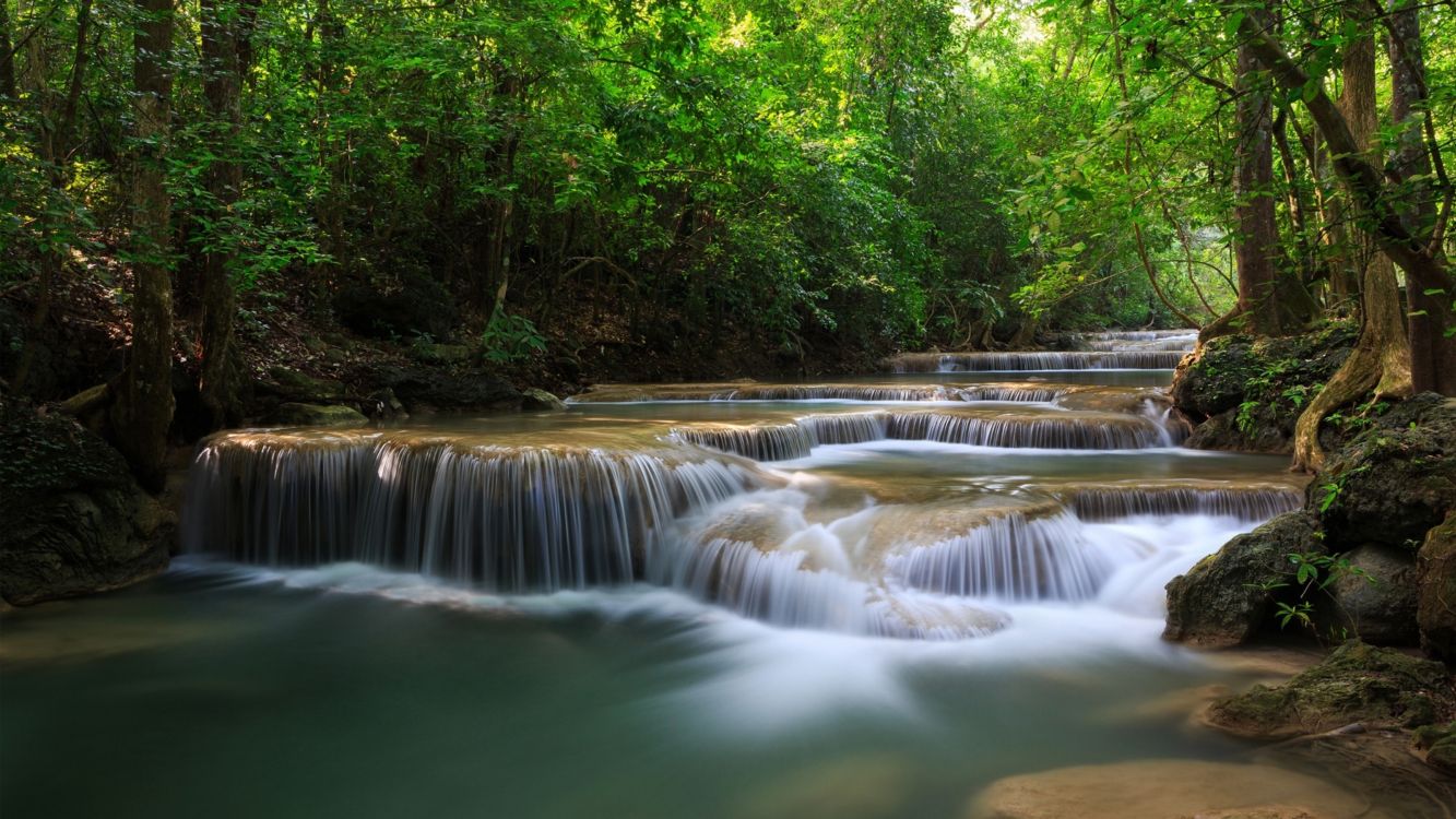 人体内的水, 水资源, 自然景观, 性质, 水道 壁纸 3200x1800 允许