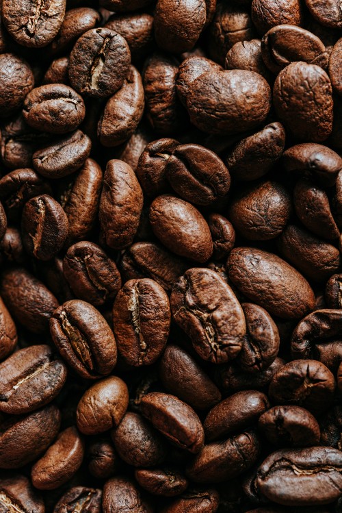 Image cocoa bean, Coffee, jamaican blue mountain coffee, coffee bean, caffeine