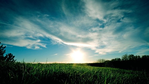 Image green grass field under blue sky during daytime