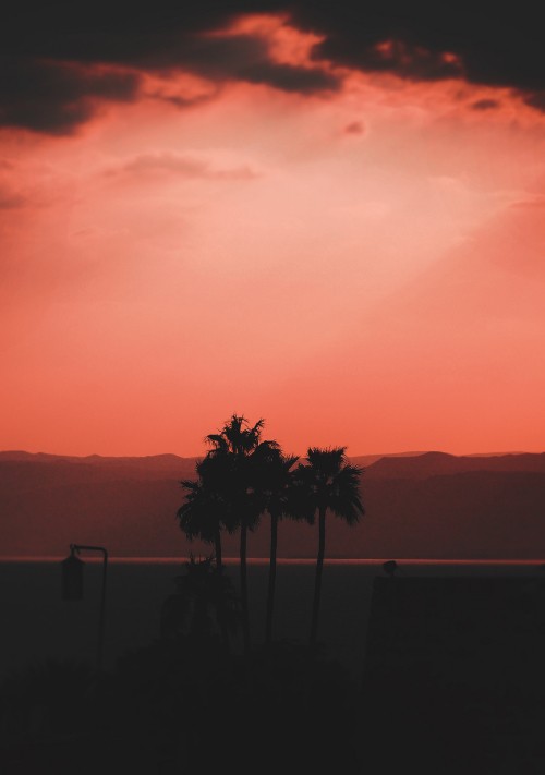 Image afterglow, horizon, sunset, red, orange