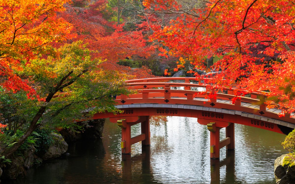 日本 季节 性质 反射 自然景观高清壁纸 性质图片 桌面背景和图片
