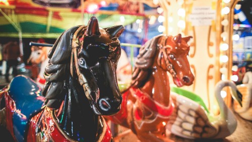 Image amusement ride, amusement park, recreation, horse tack, park