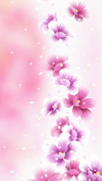 粉红色, 紫色的, 紫罗兰色, 淡紫色的, 开花 壁纸 1440x2560 允许