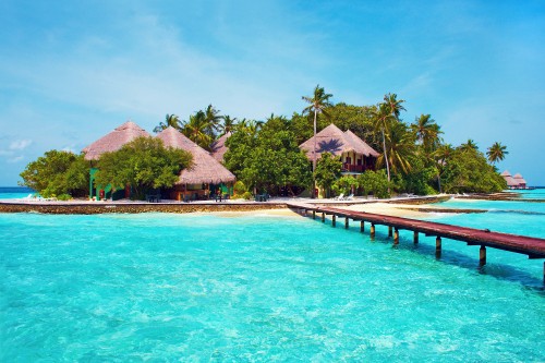 Image brown wooden house near swimming pool during daytime