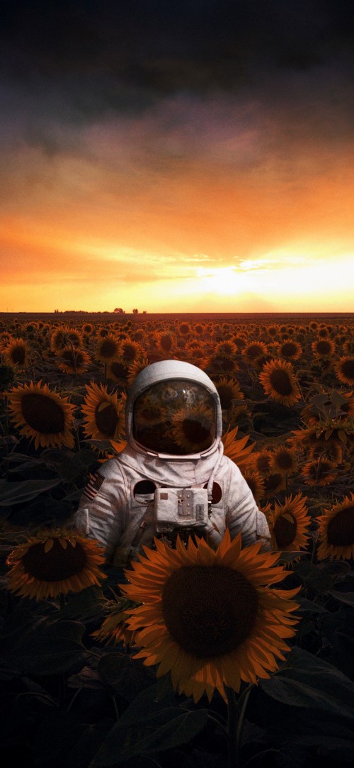 Image astronaut in field, astronaut, cloud, plant, ecoregion