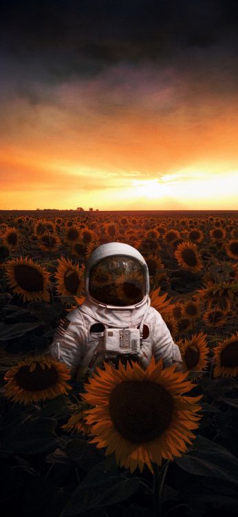 astronaut in field, astronaut, cloud, plant, ecoregion