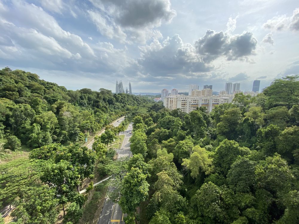 Vegetation, Natur, Tageszeit, Cloud, Stadtgebiet. Wallpaper in 2048x1536 Resolution