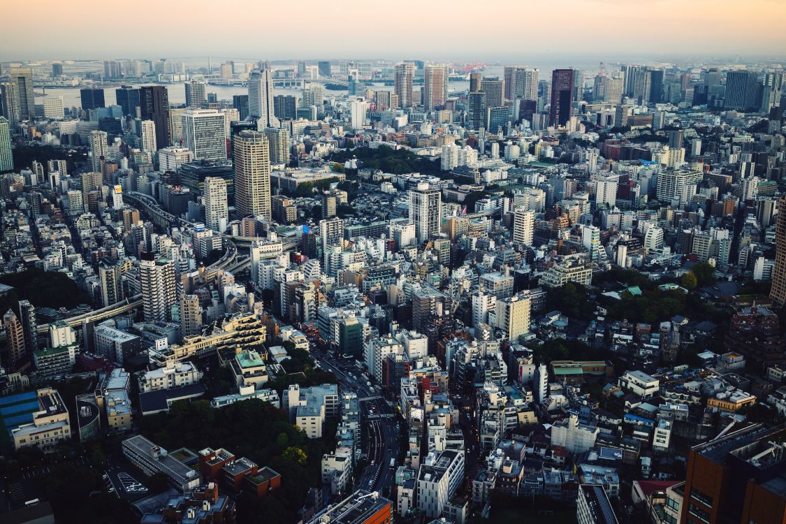 东京, 城市景观, 城市, 大都会, 天际线 壁纸 6000x4000 允许