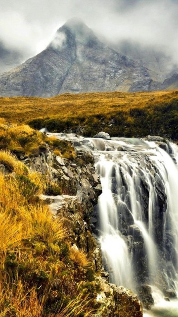 Image green grass and brown grass near waterfalls