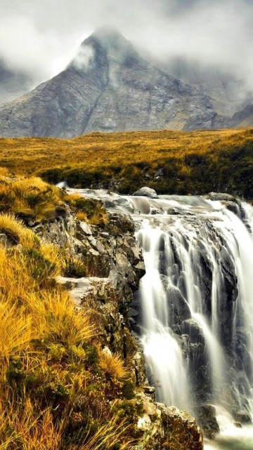 Image green grass and brown grass near waterfalls